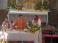 Tradiční břežanské hody_2013