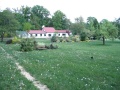 Emauzy
