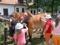 Táborníci z Mikulova_2014