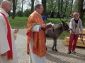 Fotogalerie Květná neděle