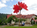 Bystr&aacute; 2013